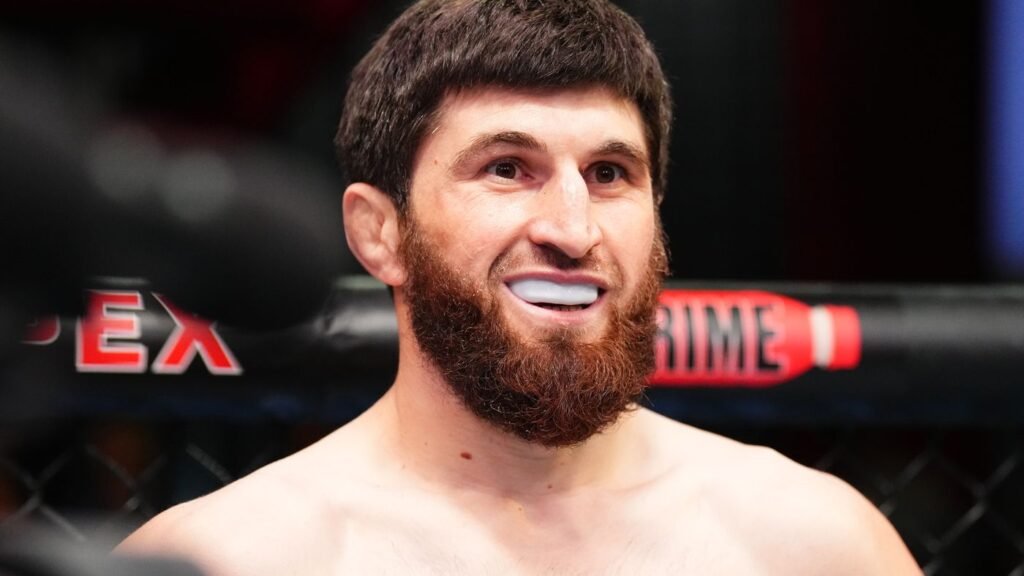 Pereira vs. Ankalaev